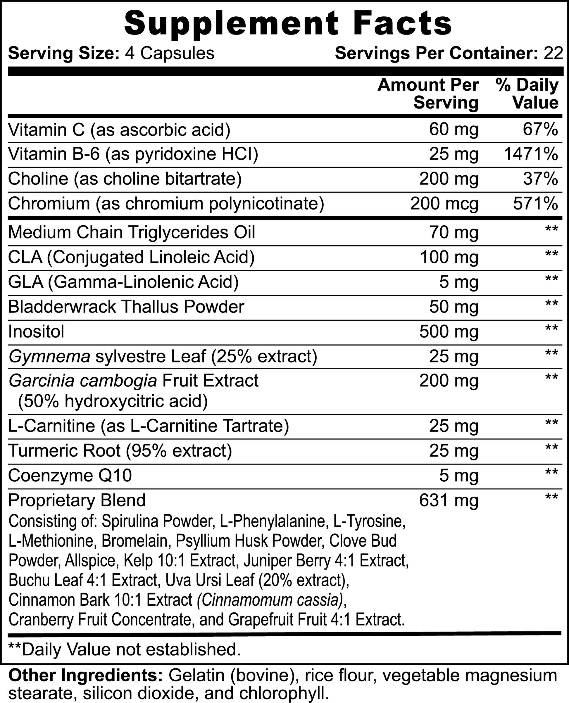 Fuelchemy Fat Burning Capsules with Vitamin C and natural extracts for effective weight management